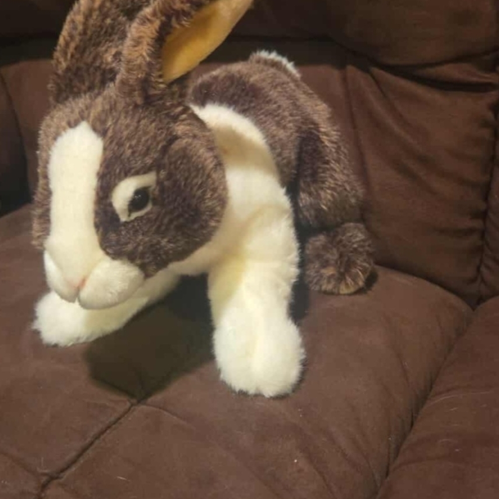 Signatures(from 30-40$ Or BO)reg Webkinz Range From 8$-20$.